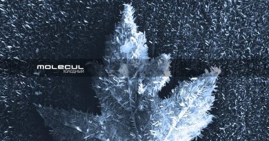 Molecul - Холодный