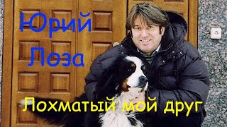 Юрий Лоза — Лохматый мой друг