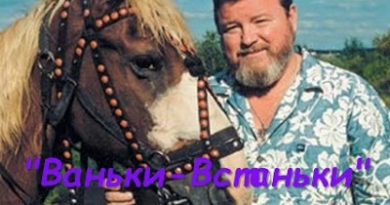 Михаил Евдокимов - Ваньки-Встаньки
