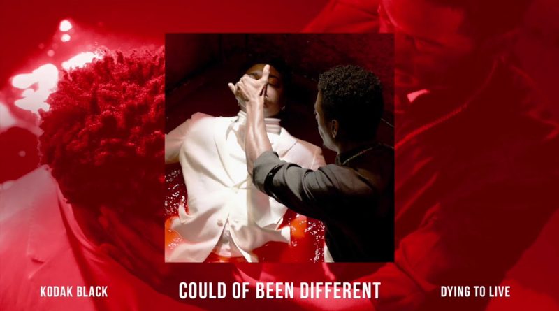 Kodak Black - Could of Been Different