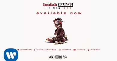 Kodak Black - Purp