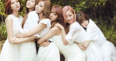Apink - BOY
