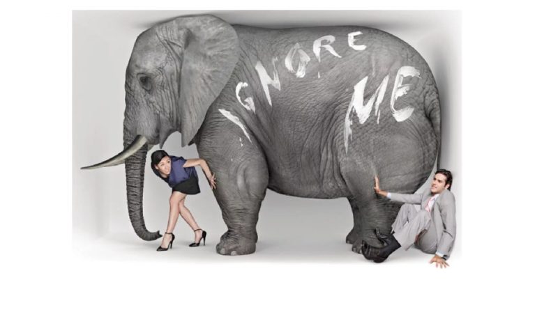 Guy Sebastian - Elephant