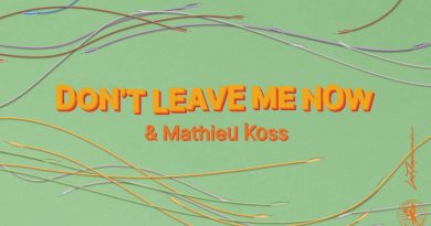 Lost Frequencies, Mathieu Koss - Don't Leave Me Now