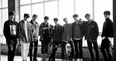 Stray Kids - Mirror