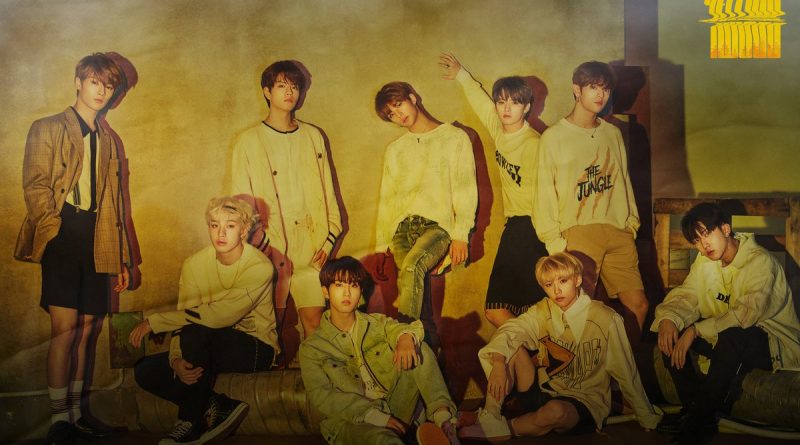 Stray Kids - TMT