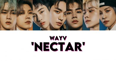 Wayv - 月之迷 Nectar