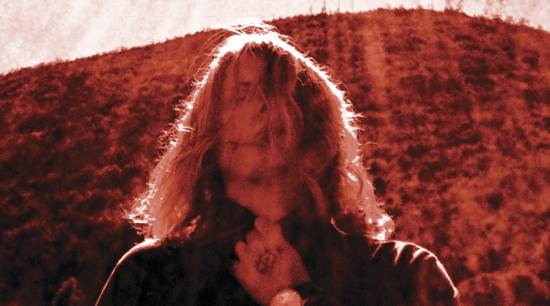 Ty Segall - The Singer