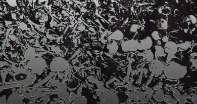 HEALTH, Ghostemane - JUDGEMENT NIGHT