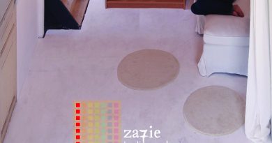 Zazie - À copier 100 fois