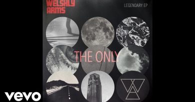 Welshly Arms - The Only