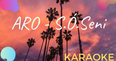 Aro - S.O. seni