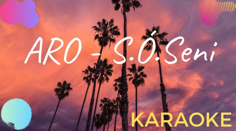 Aro - S.O. seni
