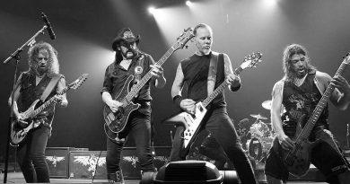 Metallica - Damage Case