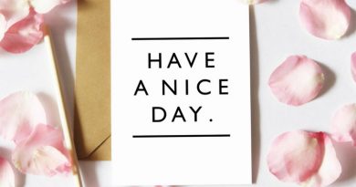 Syd Matters - Have a Nice Day
