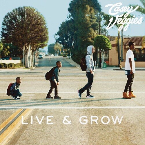 Casey Veggies, Tyler, The Creator — RIP