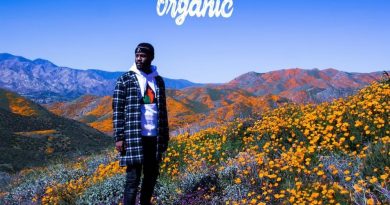 Casey Veggies — Dream$