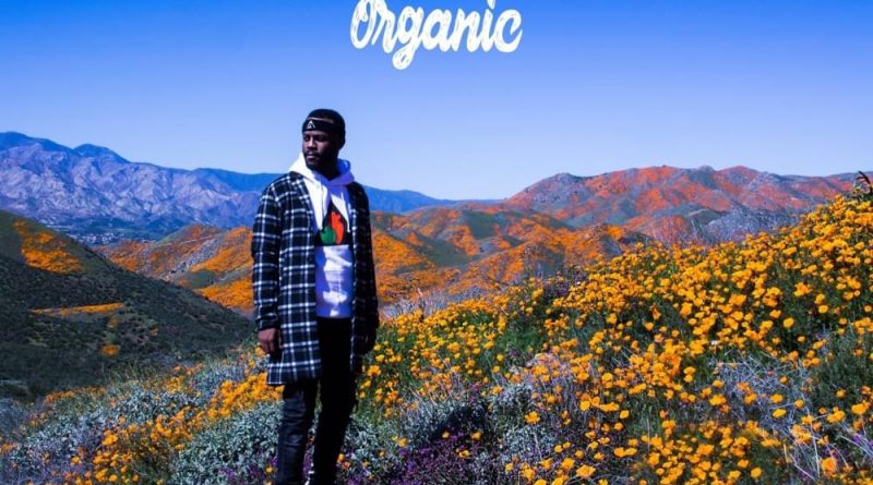 Casey Veggies, BJ The Chicago Kid — Take It Slow