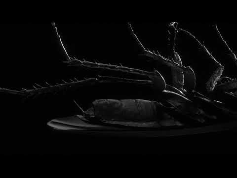 Papa Roach - DOMINATION (feat. Kayzo&Sullivan King)