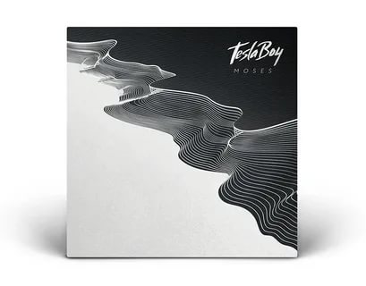 Tesla Boy — WGO