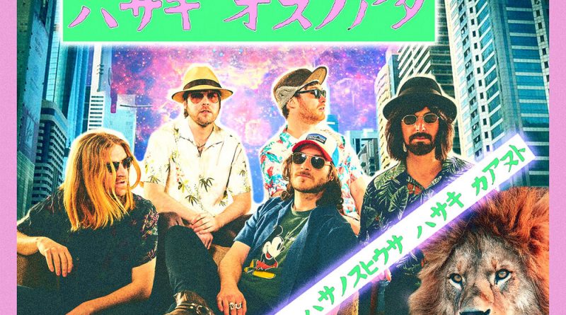The Coral - Undercover of the Night