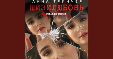 Анна Тринчер - Шизилюбовь