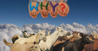 WHY? - These Few Presidents