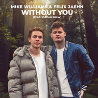 Mike Williams, Felix Jaehn, Jordan Shaw - Without You