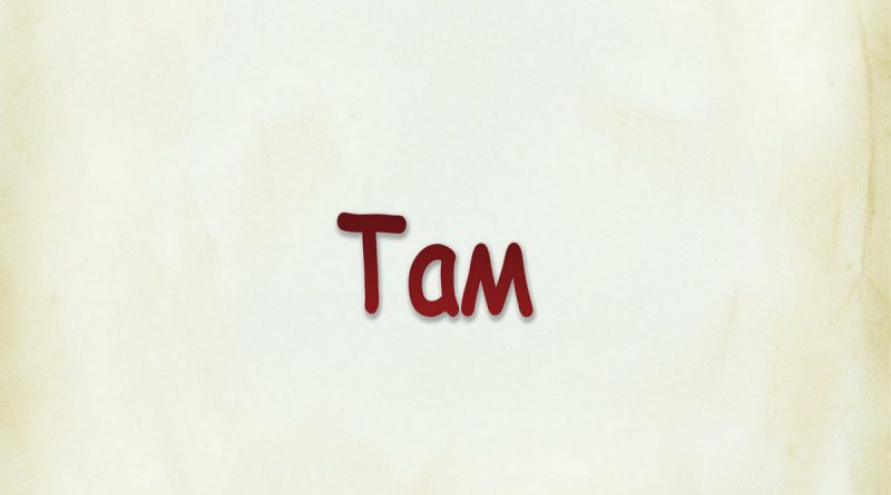 Виталий Семенов - Там