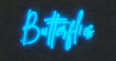 2Scratch - Butterflies