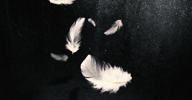 Sylver, Angemi, Dave Crusher - Losing My Religion