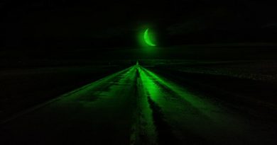 Бодя Мир642 - Увези меня домой