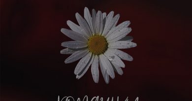 Ivshina, zheez - Ромашки