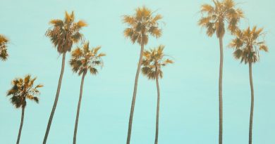 Besomage, Lunis, BRAN - California Dreaming