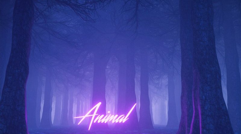 Jim Yosef, RIELL - Animal