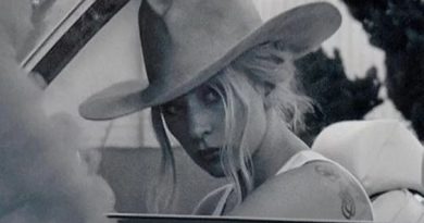 Lady Gaga - Animal