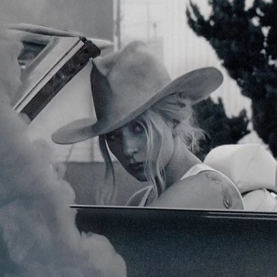 Lady Gaga - Animal