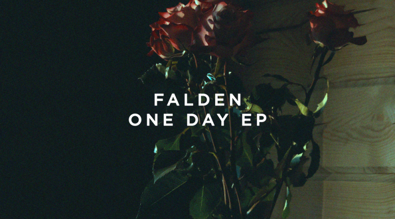 Falden - Don't Wanna Know