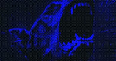 Бодя Мир642, Dewensoon - Meloman