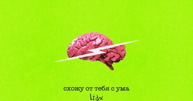 Lida - схожу от тебя с ума