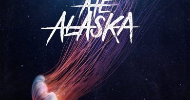 Oceans Ate Alaska - Entity