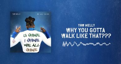 YNW Melly - Why You Gotta Walk Like That???
