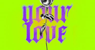 Люся Чеботина, Haart, Arut - Your Love