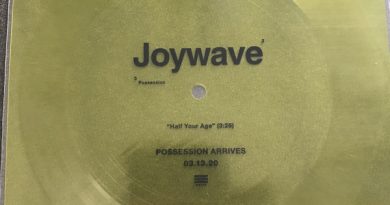 Joywave Possession