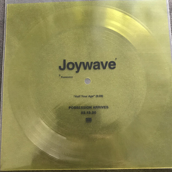 Joywave Possession