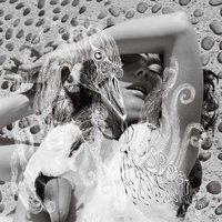 Bjork - It's Not Up To You