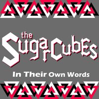 The Sugarcubes - Delicious Demon