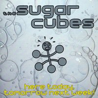 The Sugarcubes - Water