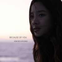 KIM BO HYUNG - BECAUSE OF YOU
