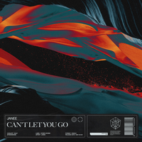 Janee - Can't Let You Go